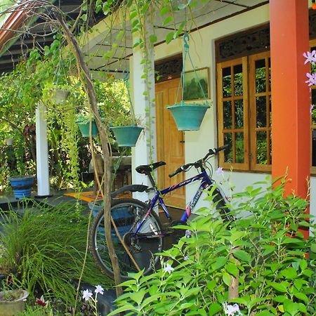 Nature Night Homestay Sigiriya Esterno foto